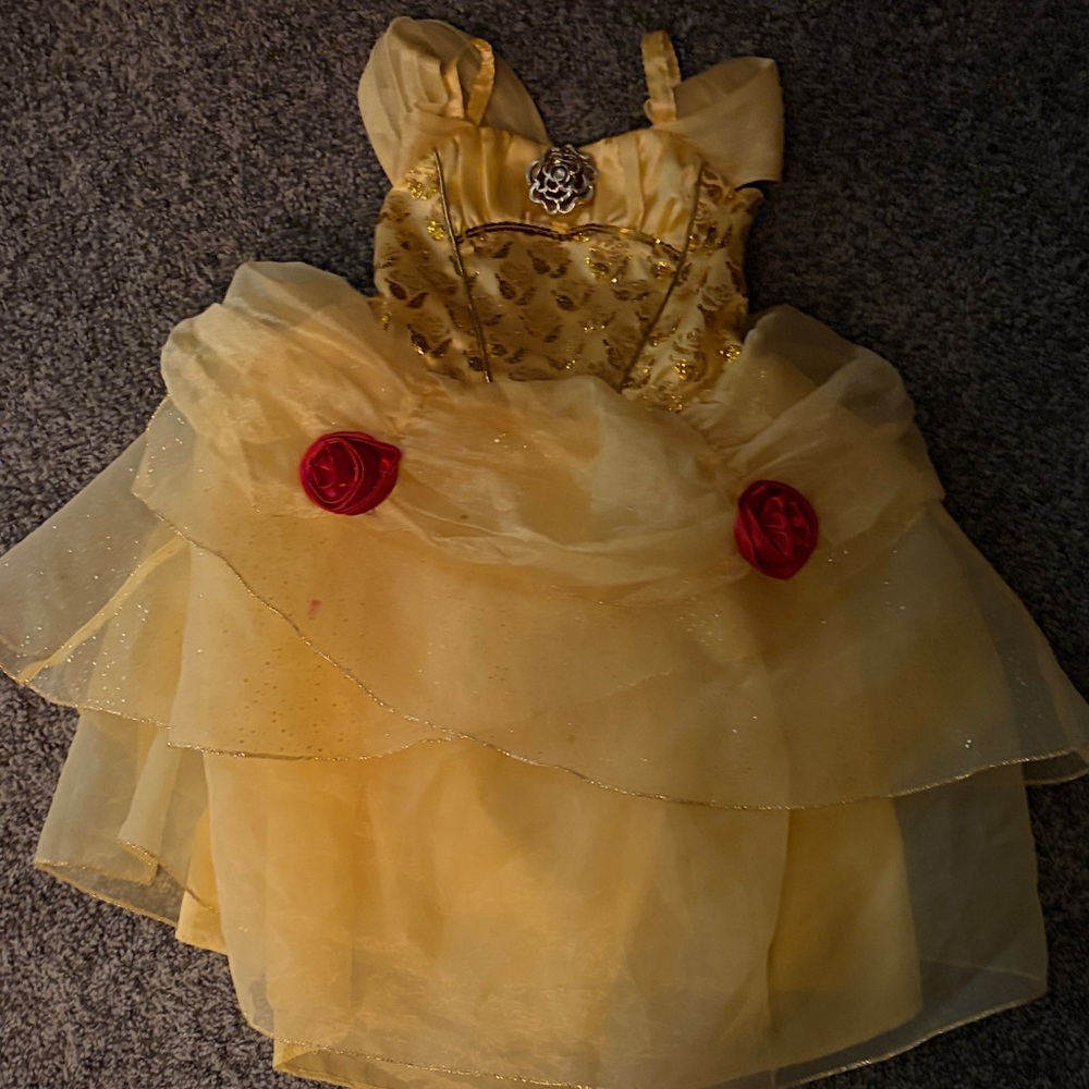 Disney Golden Princess Dress with Red Accents
